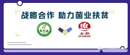 攜手古船米業(yè)，共筑貧困地區(qū)食用菌銷售與商品房代購(gòu)代銷新篇章