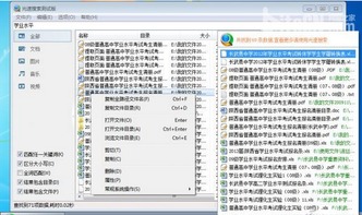 提升系統(tǒng)搜索速度，打造無(wú)處不在的光速搜索體驗(yàn)——網(wǎng)絡(luò)與信息安全軟件開(kāi)發(fā)策略